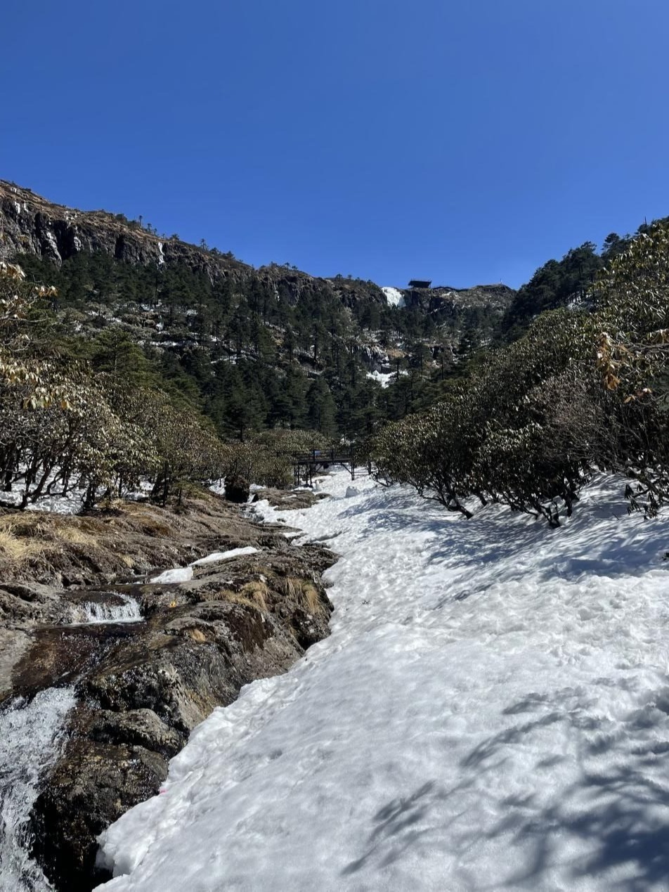 云南省文化和旅游厅