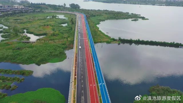 快来打卡！滇池草海片区已建成11.7公里绿道