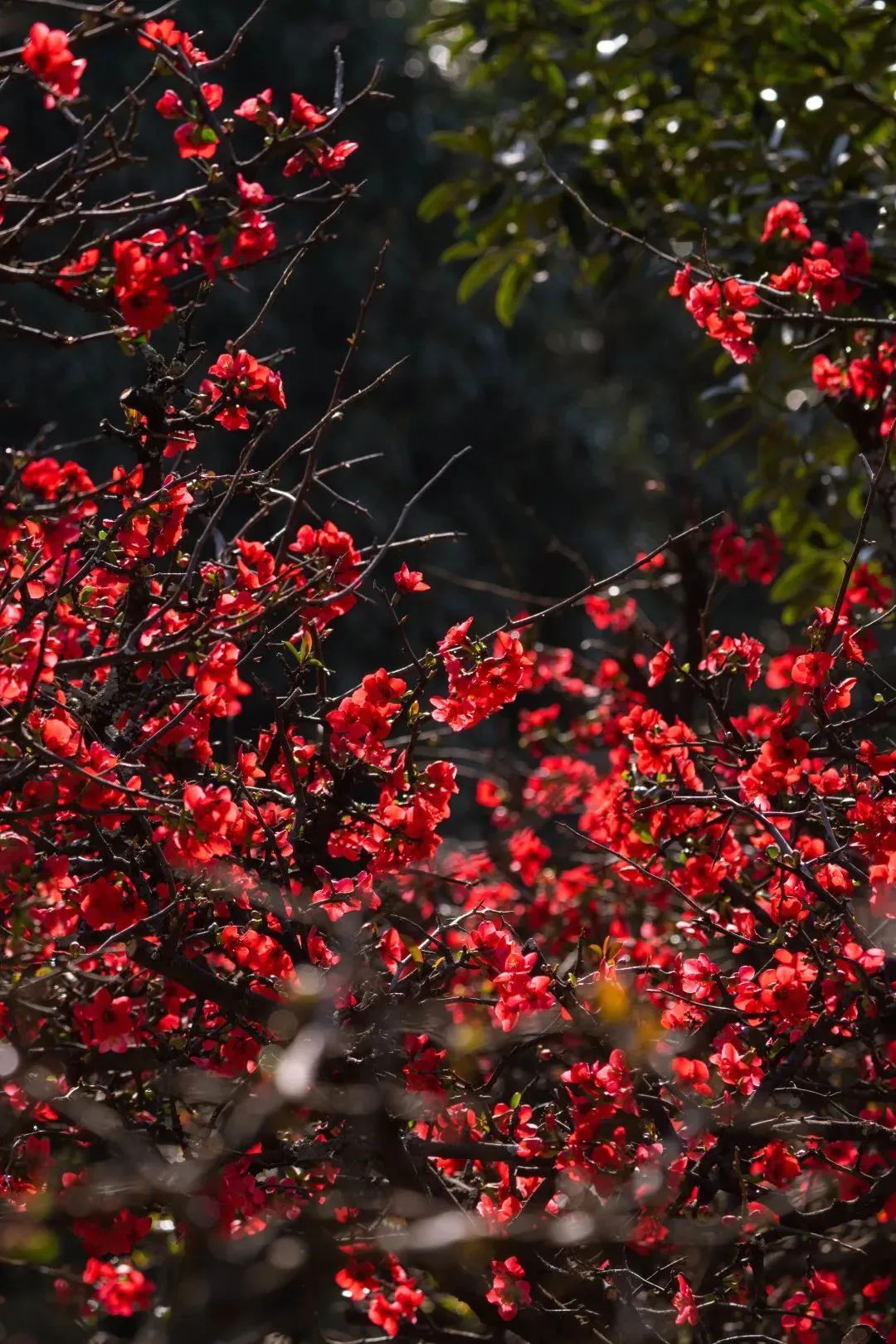 昆明文旅
