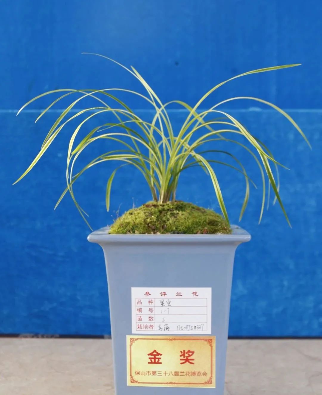 保山新闻网