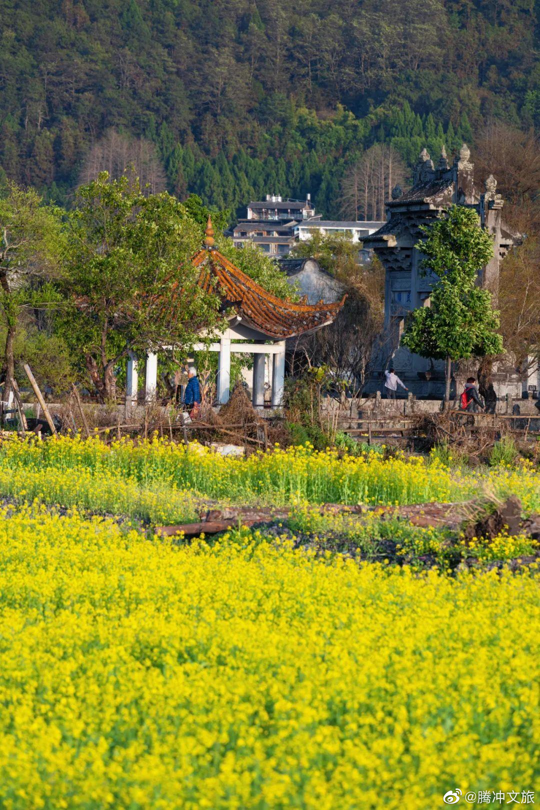 腾冲文旅微博