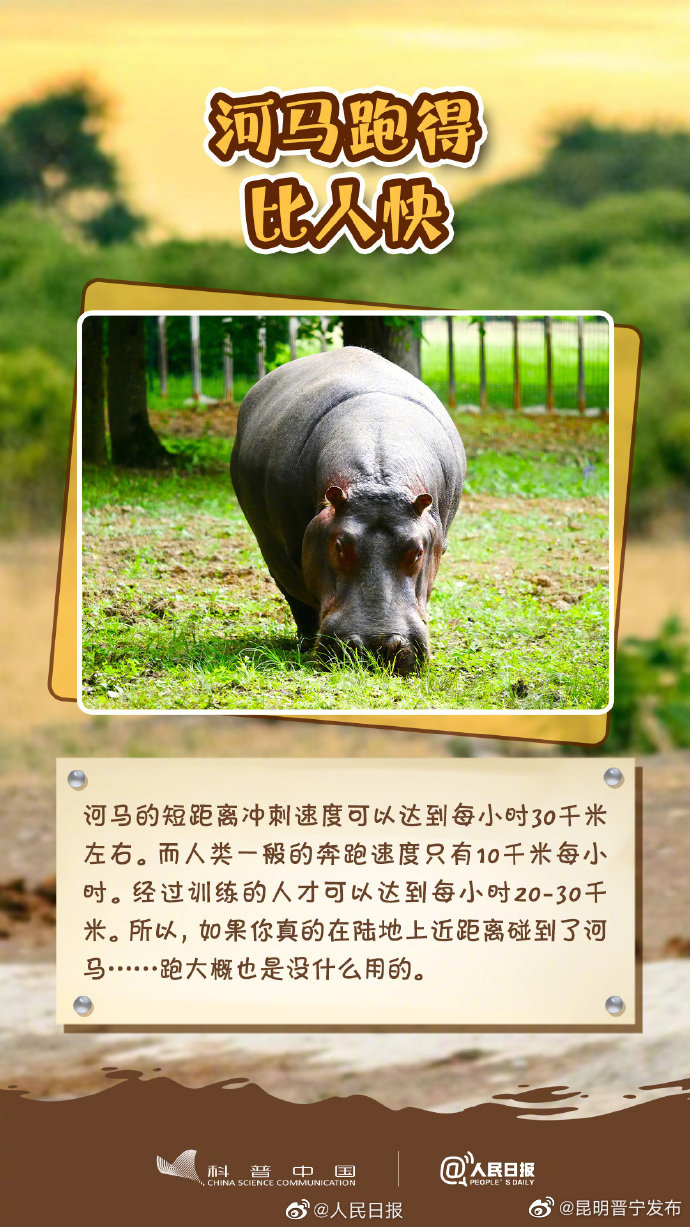 昆明晋宁发布