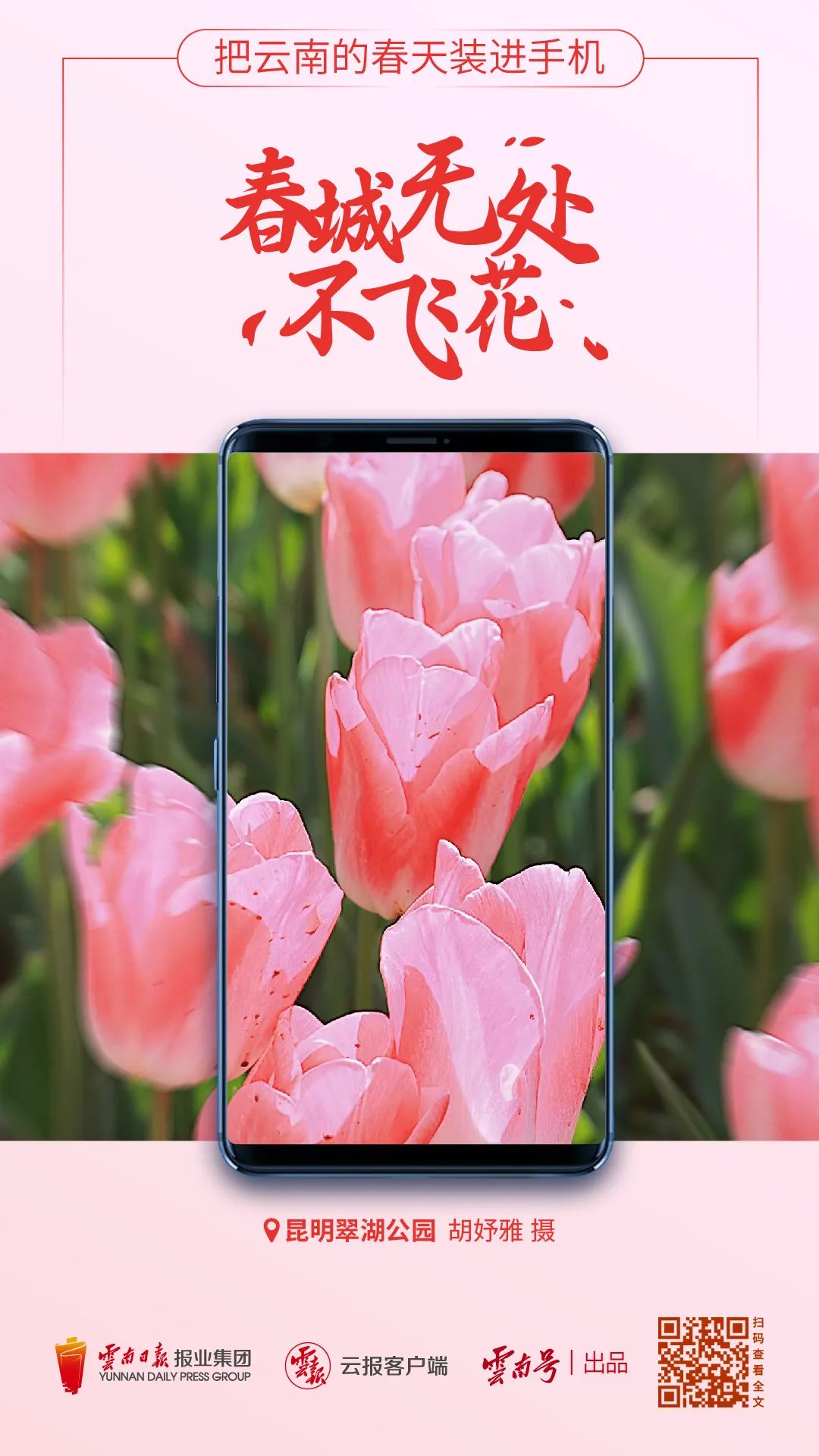 昆明国家高新区发布