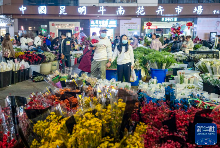 昆明信息港/cnkmxxg