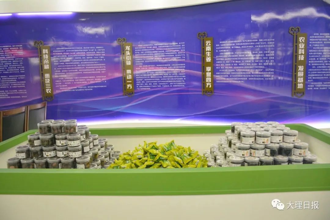 大理日报