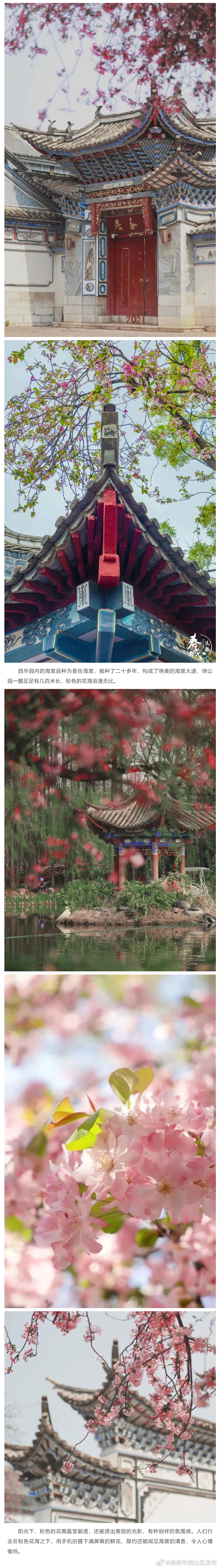 昆明市西山区发布