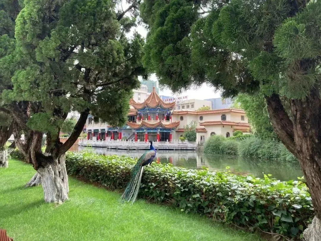 昆明文旅