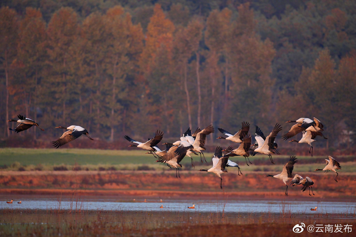 “云南发布”微博