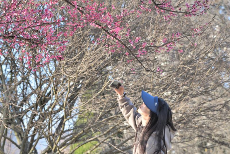 云南省文化和旅游厅