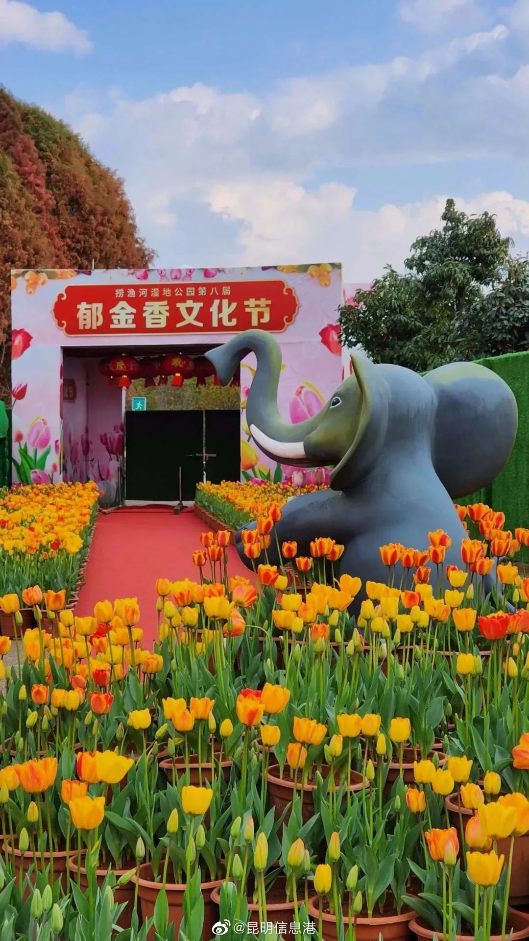昆明信息港（微博）