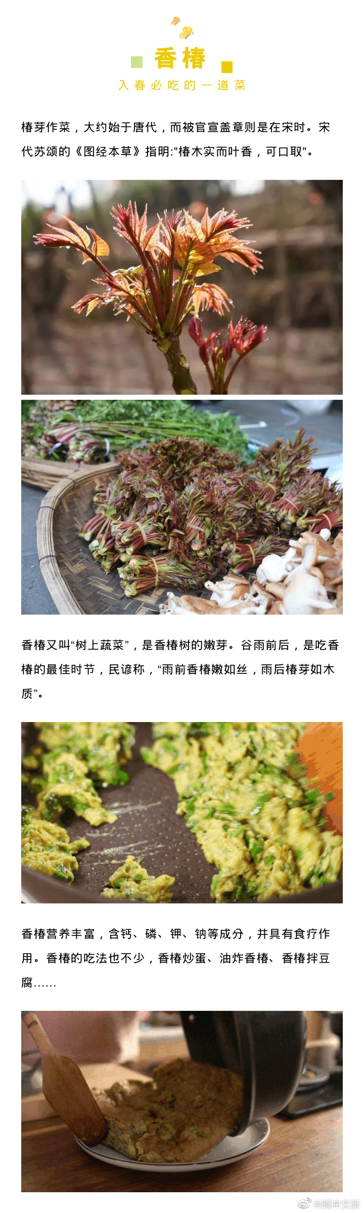 腾冲文旅微博