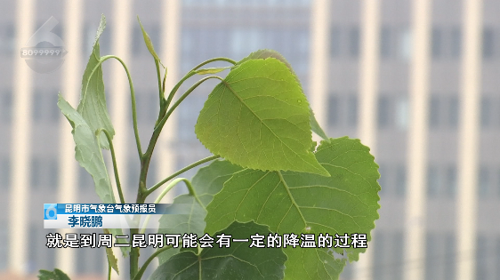 滇池度假发布