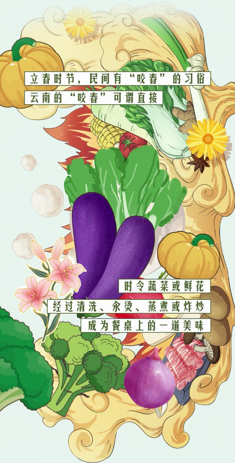 云南省人民政府网