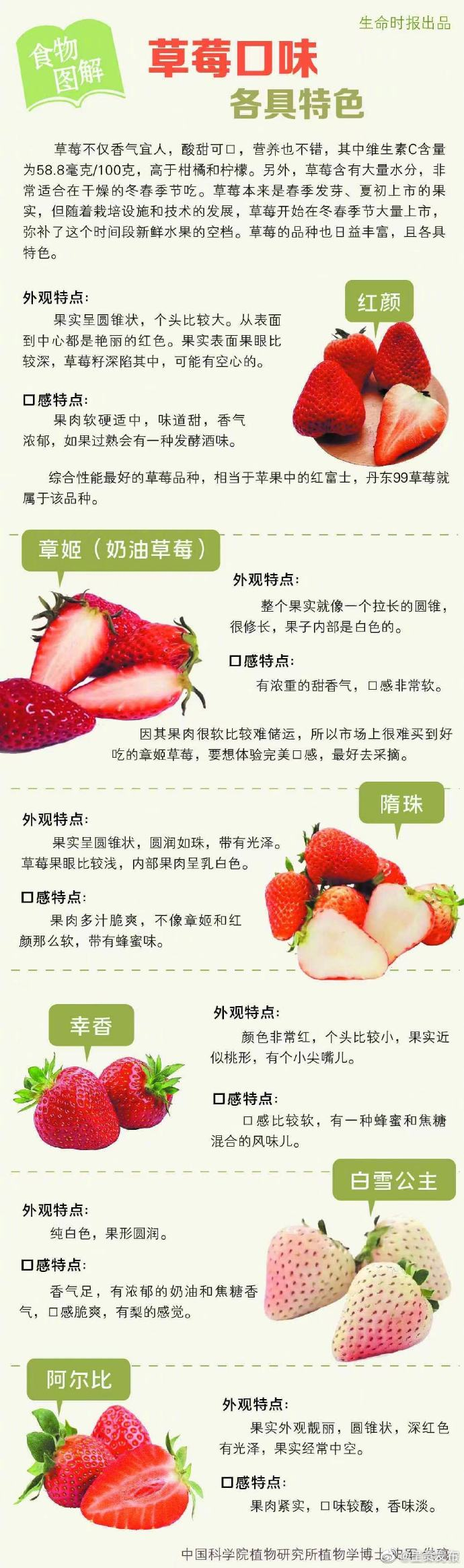 不同品种的草莓图鉴 