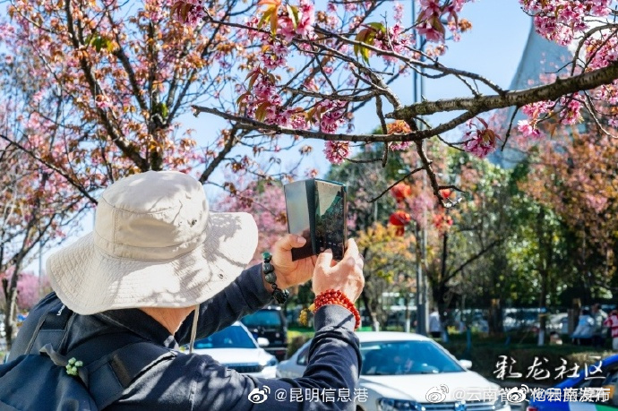 “云南发布”微博