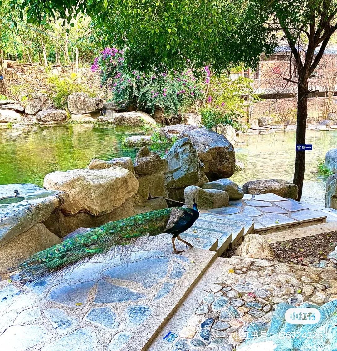 一部手机游云南