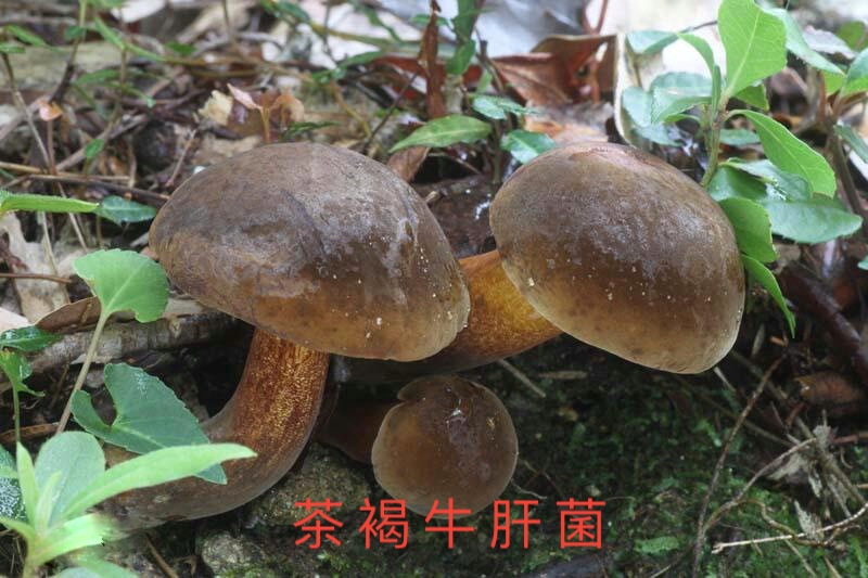 云南疾控