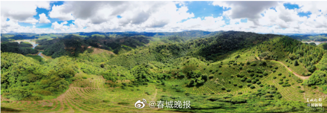 高质量发展看西双版纳 | 勐海福海茶厂：老牌茶企迈出“青春步调”