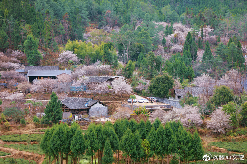 腾冲文旅微博
