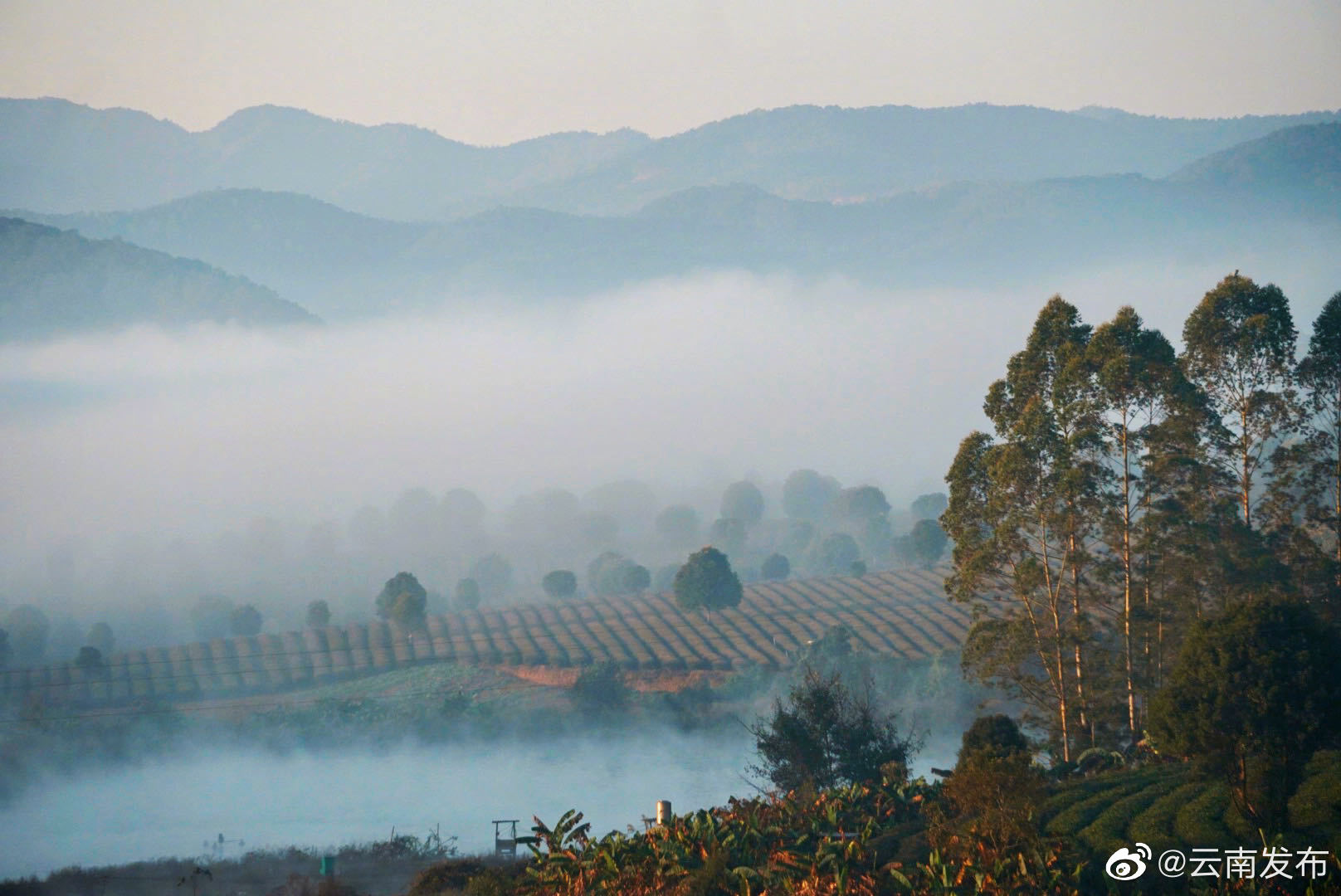 “云南发布”微博