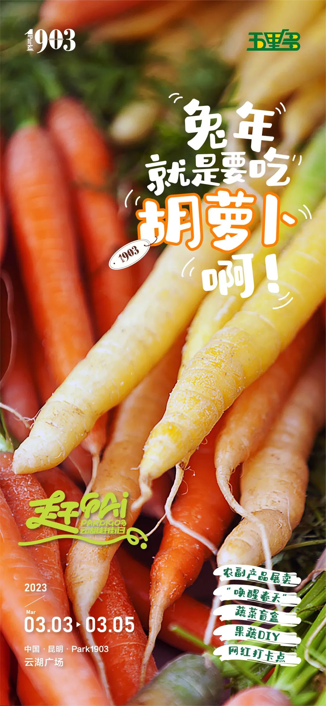 滇池度假发布