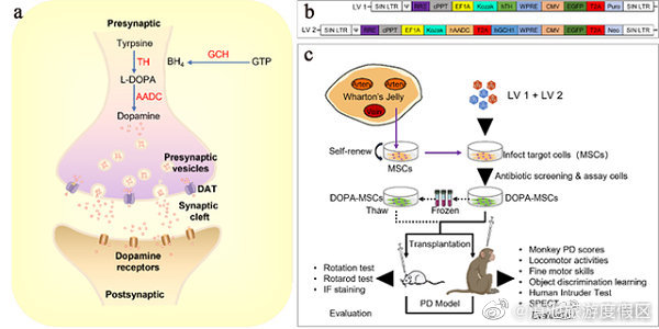 滇池旅游度假区