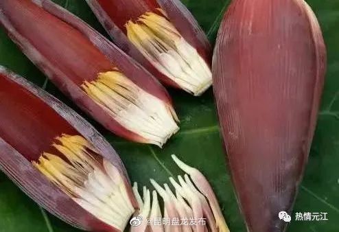 昆明盘龙发布