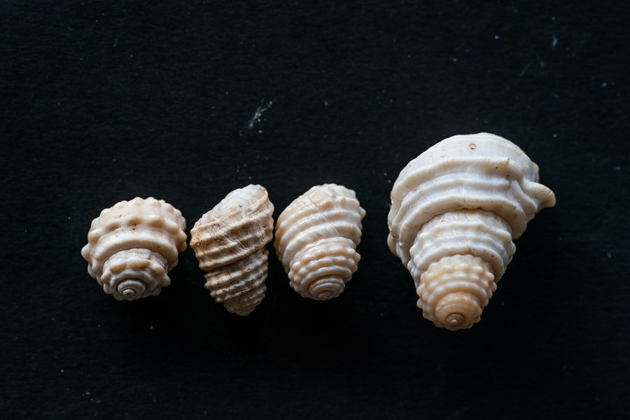 云南省文化和旅游厅