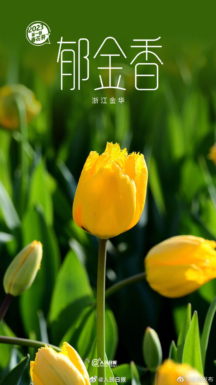 “云南发布”微博