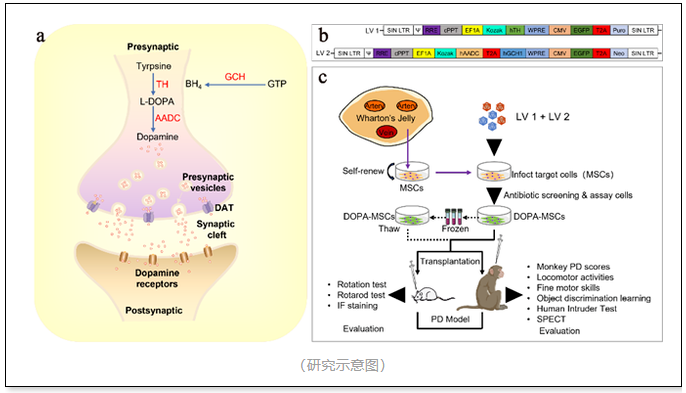 美丽云南微科普