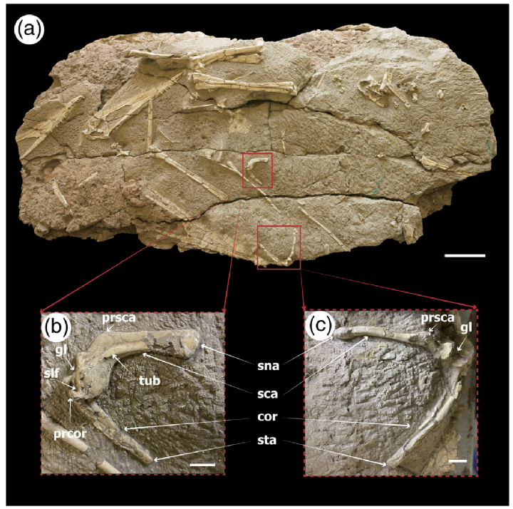 美丽云南微科普