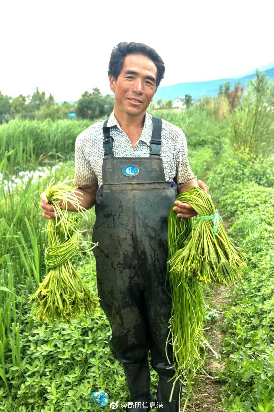 昆明信息港（微博）