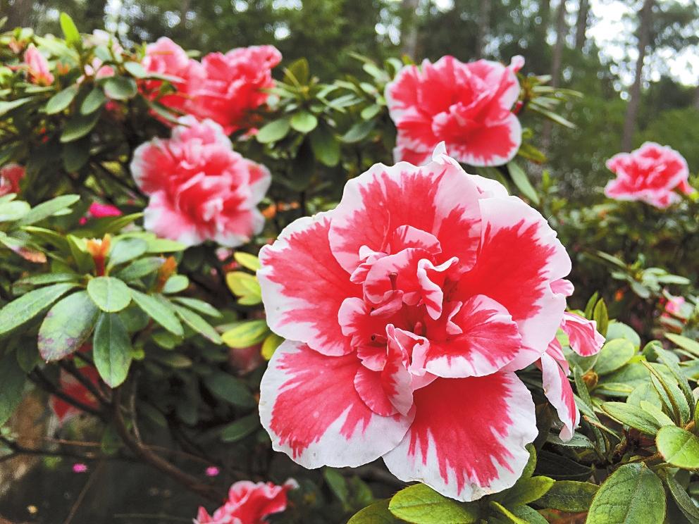 新华网云南频道