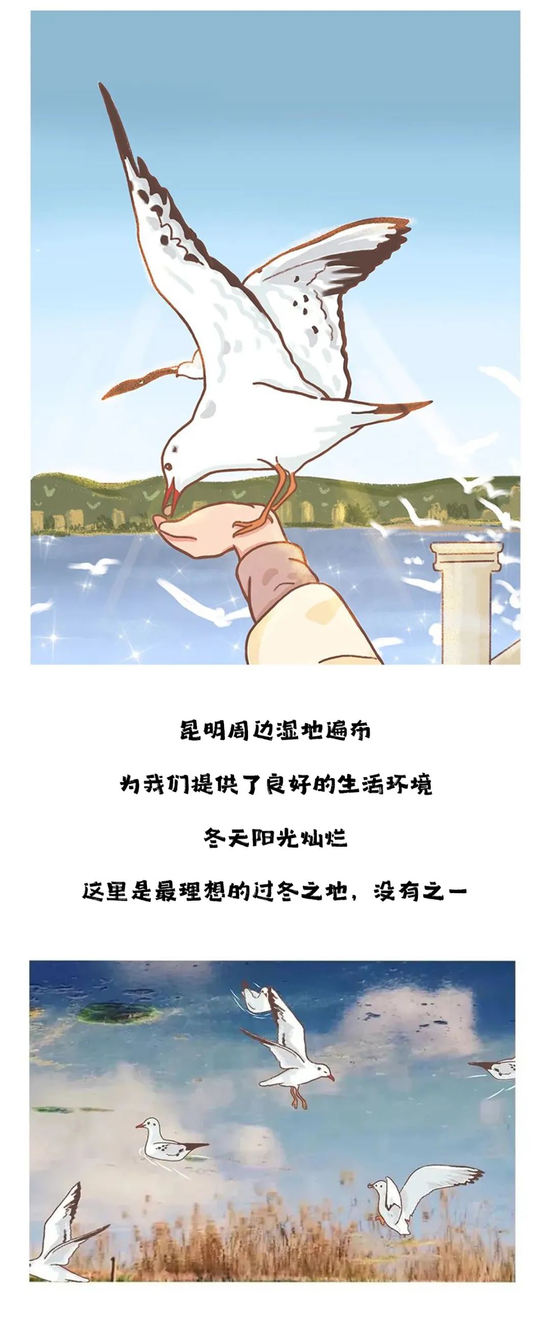 滇池度假发布