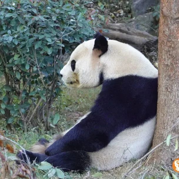 云南野生动物园