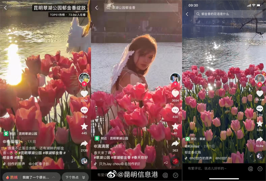 昆明信息港（微博）