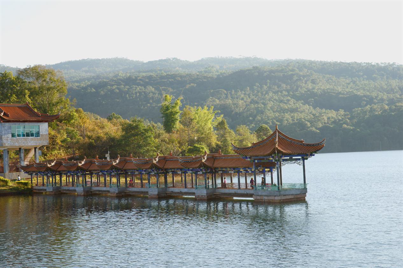 云南省文化和旅游厅
