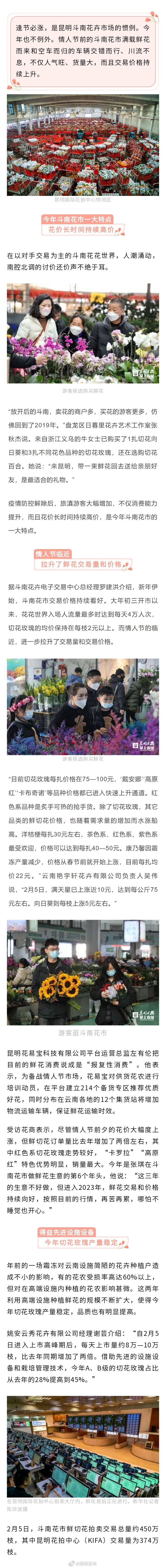 鲜花交易和价格持续向好 斗南花商：再苦再累也开心