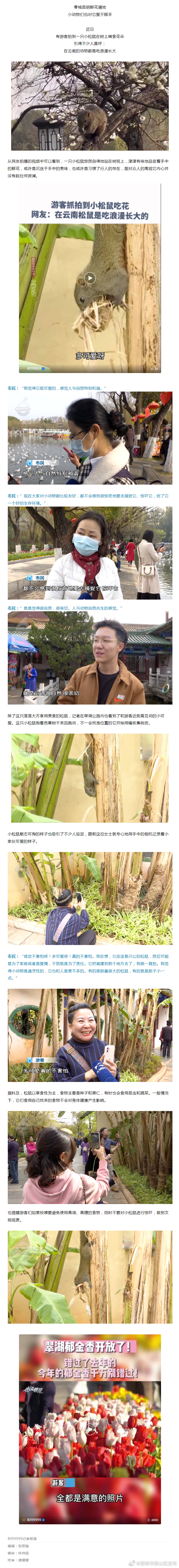 松鼠上树吃花花，昆明的浪漫无处不在！
