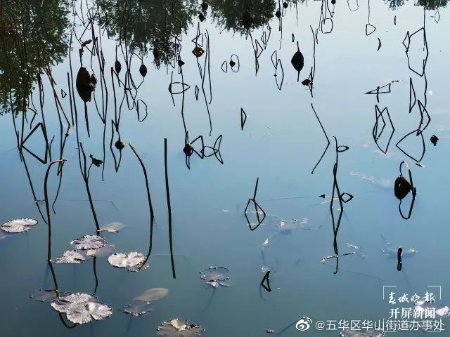 五华区华山街道办事处