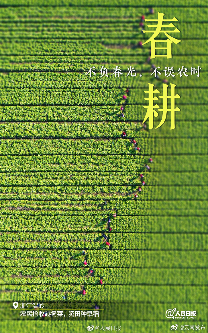 “云南发布”微博