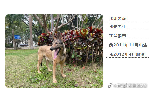 昆明市西山区发布