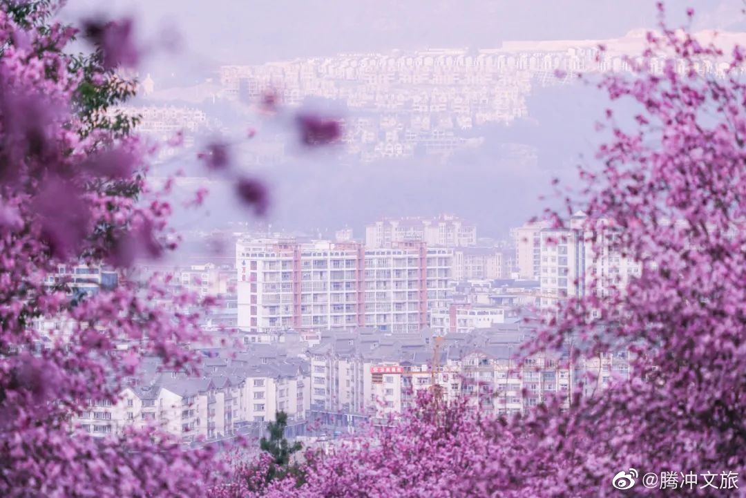 腾冲文旅微博