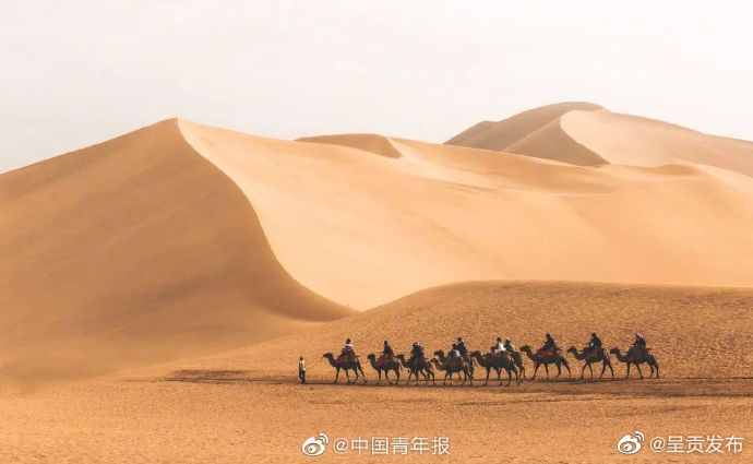 呈贡发布