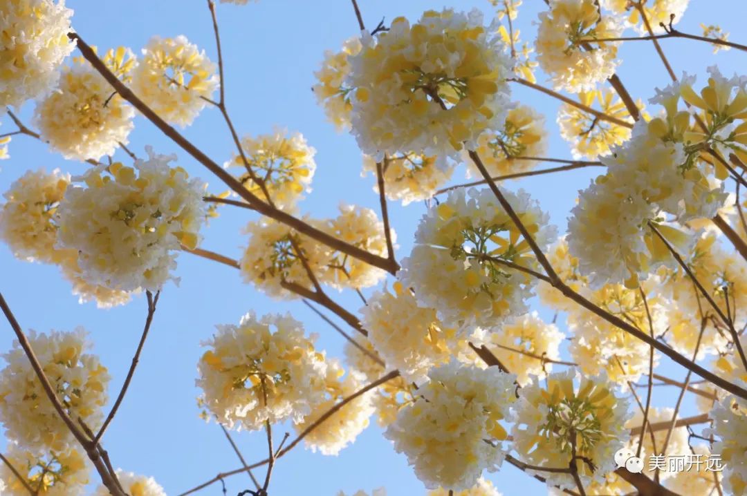 红河日报