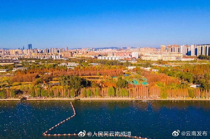“云南发布”微博
