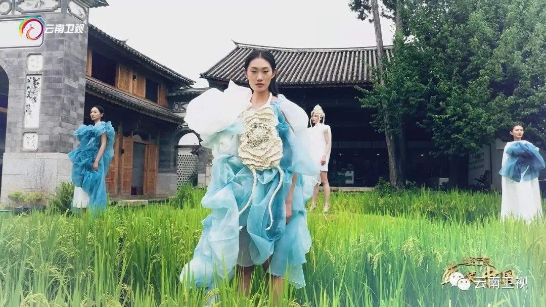 大理电视台