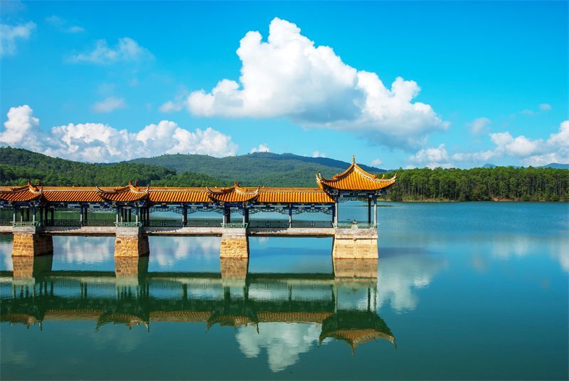 云南省文化和旅游厅