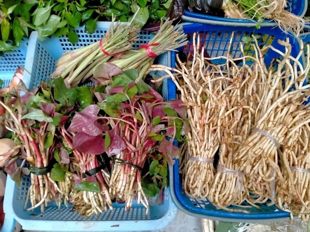 红河日报