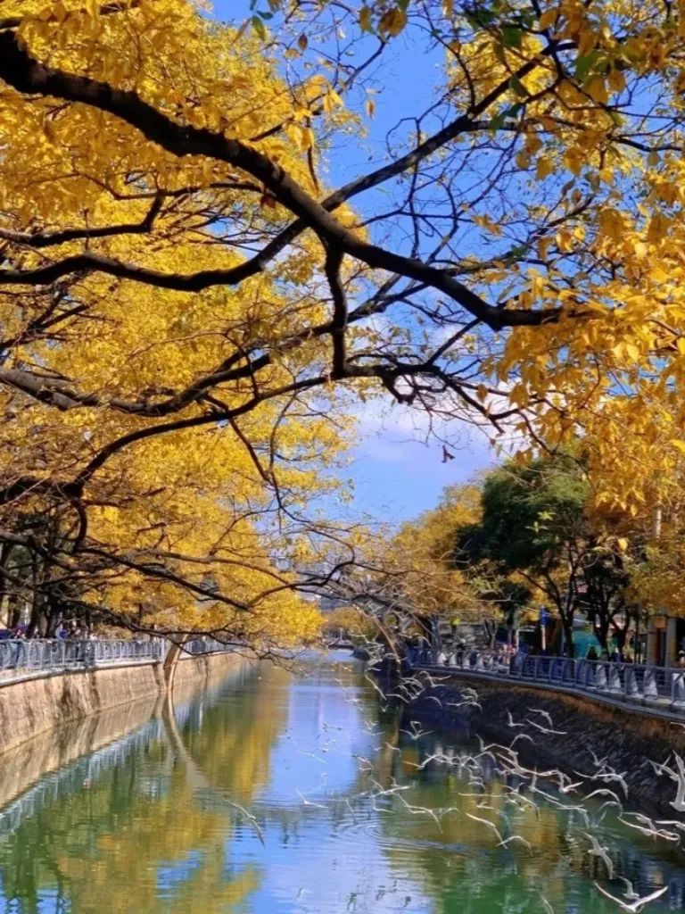 昆明文旅